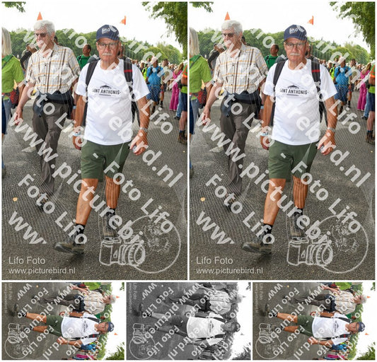 Evenement foto: Nijmeegse Vierdaagse 1030