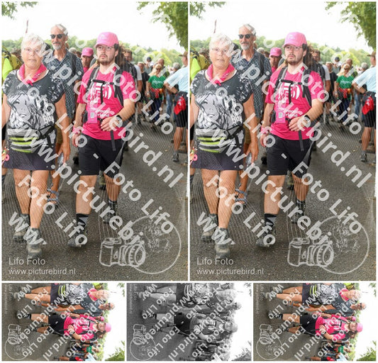 Evenement foto: Nijmeegse Vierdaagse 1030