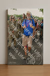 Evenement foto: Nijmeegse Vierdaagse 1030