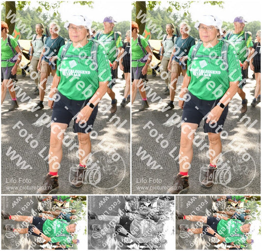 Evenement foto: Nijmeegse Vierdaagse 1030