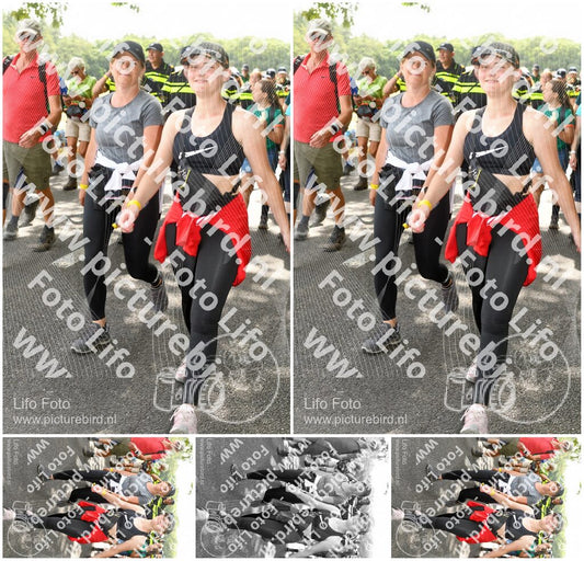 Evenement foto: Nijmeegse Vierdaagse 1030