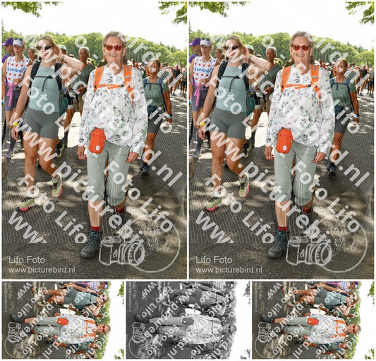 Evenement foto: Nijmeegse Vierdaagse 1030