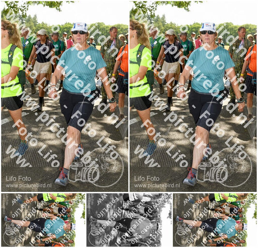 Evenement foto: Nijmeegse Vierdaagse 1030