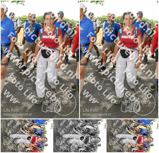 Evenement foto: Nijmeegse Vierdaagse 1030