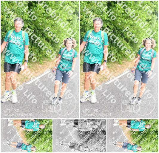 Evenement foto: Serie 687 en 688