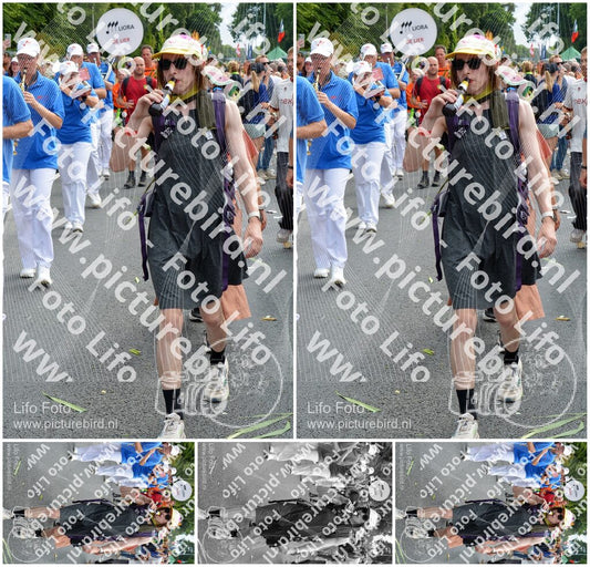 Evenement foto: Nijmeegse Vierdaagse 996