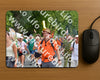 Evenement foto: Nijmeegse Vierdaagse 996