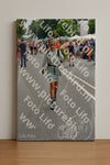 Evenement foto: Nijmeegse Vierdaagse 996