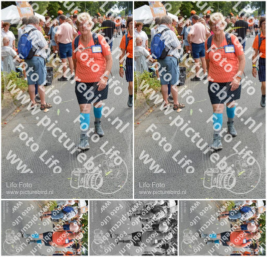 Evenement foto: Nijmeegse Vierdaagse 996