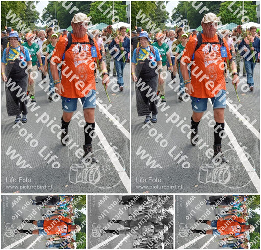 Evenement foto: Nijmeegse Vierdaagse 996