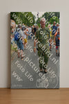Evenement foto: Nijmeegse Vierdaagse 996