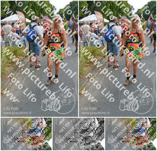 Evenement foto: Nijmeegse Vierdaagse 996