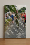 Evenement foto: Nijmeegse Vierdaagse 996