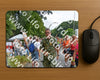 Evenement foto: Nijmeegse Vierdaagse 996