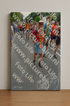 Evenement foto: Nijmeegse Vierdaagse 996