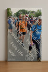 Evenement foto: Nijmeegse Vierdaagse 996