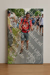 Evenement foto: Nijmeegse Vierdaagse 996