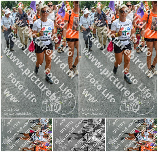 Evenement foto: Nijmeegse Vierdaagse 996