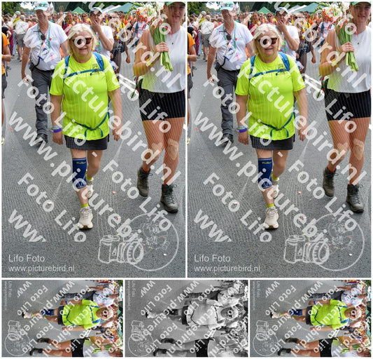 Evenement foto: Nijmeegse Vierdaagse 996