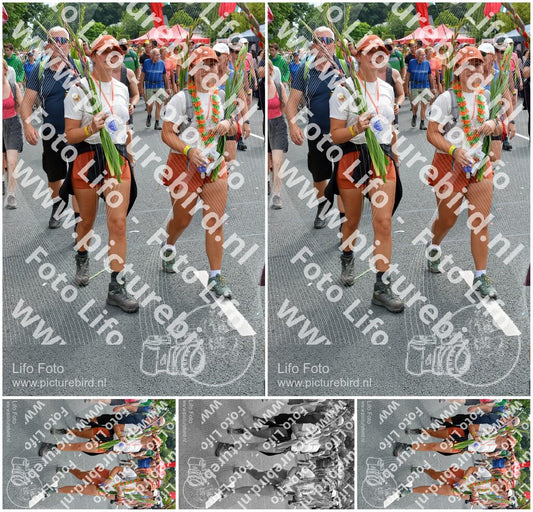 Evenement foto: Nijmeegse Vierdaagse 995