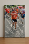 Evenement foto: Nijmeegse Vierdaagse 995