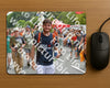 Evenement foto: Nijmeegse Vierdaagse 995