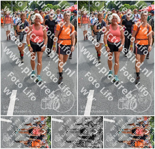 Evenement foto: Nijmeegse Vierdaagse 995