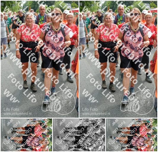 Evenement foto: Nijmeegse Vierdaagse 995