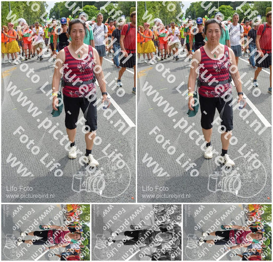 Evenement foto: Nijmeegse Vierdaagse 995