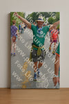 Evenement foto: Nijmeegse Vierdaagse 995