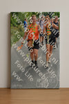 Evenement foto: Nijmeegse Vierdaagse 995