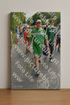 Evenement foto: Nijmeegse Vierdaagse 995