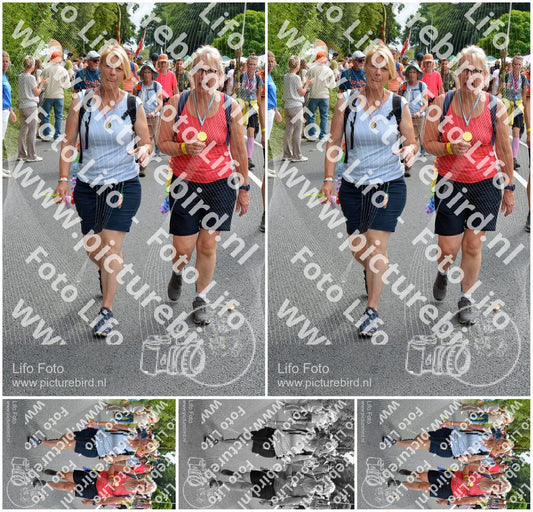 Evenement foto: Nijmeegse Vierdaagse 995