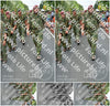 Evenement foto: Nijmeegse Vierdaagse 994
