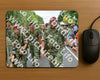Evenement foto: Nijmeegse Vierdaagse 994