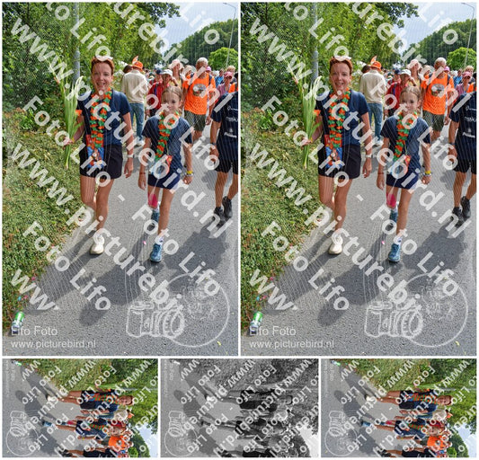 Evenement foto: Nijmeegse Vierdaagse 994