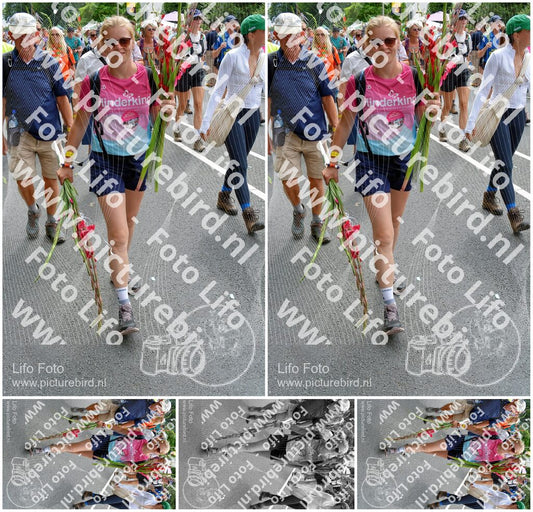Evenement foto: Nijmeegse Vierdaagse 994