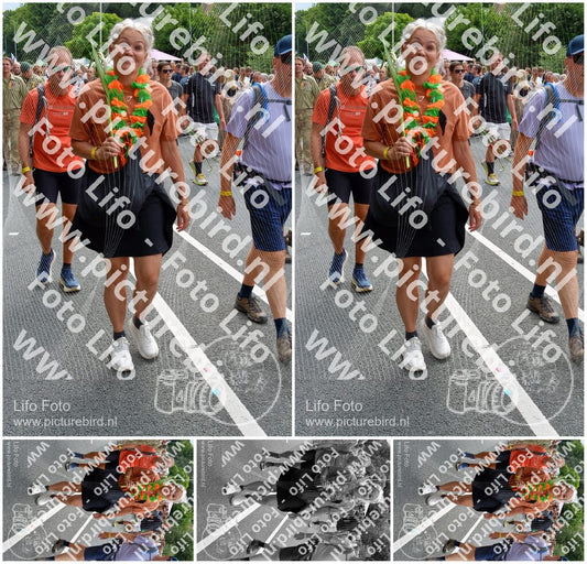 Evenement foto: Nijmeegse Vierdaagse 994