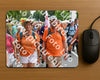 Evenement foto: Nijmeegse Vierdaagse 994