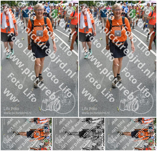 Evenement foto: Nijmeegse Vierdaagse 994