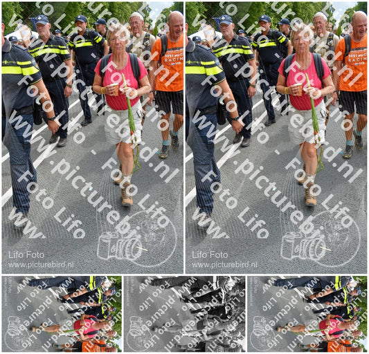 Evenement foto: Nijmeegse Vierdaagse 994