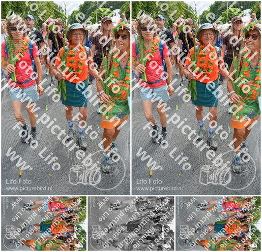 Evenement foto: Nijmeegse Vierdaagse 994