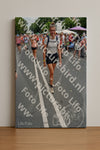 Evenement foto: Nijmeegse Vierdaagse 993