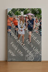 Evenement foto: Nijmeegse Vierdaagse 993