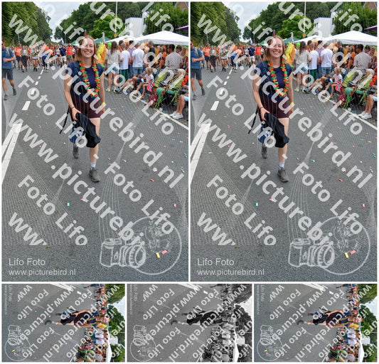 Evenement foto: Nijmeegse Vierdaagse 993