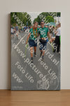 Evenement foto: Nijmeegse Vierdaagse 993