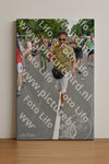 Evenement foto: Nijmeegse Vierdaagse 993