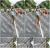 Evenement foto: Nijmeegse Vierdaagse 993