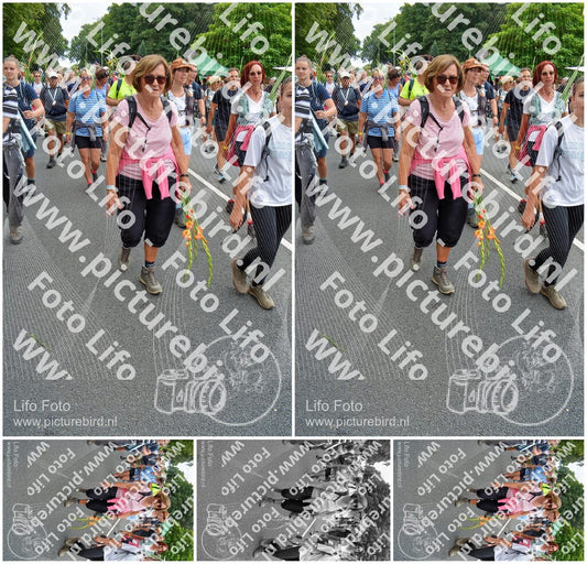 Evenement foto: Nijmeegse Vierdaagse 993