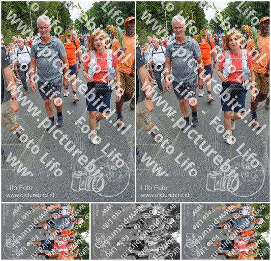 Evenement foto: Nijmeegse Vierdaagse 993